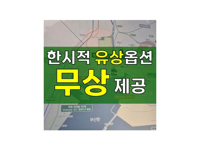 한시적 유상옵션 무상제공 (선착순)
